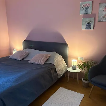 Apartma Rosa בית אירוח Spodnji Otok