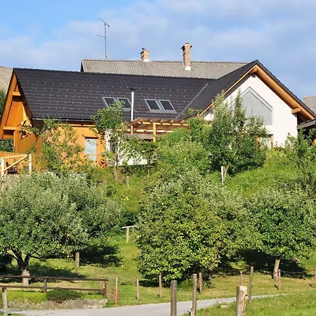 Apartma Rosa 民宿 *